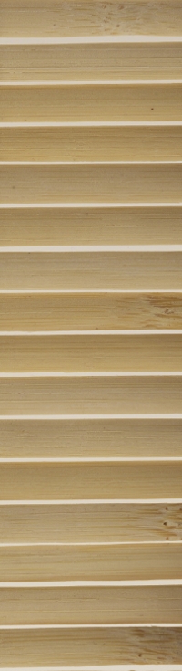 Holz